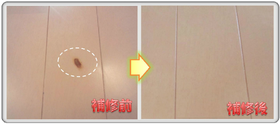 �۰�ݸޏ��L�Y��C02